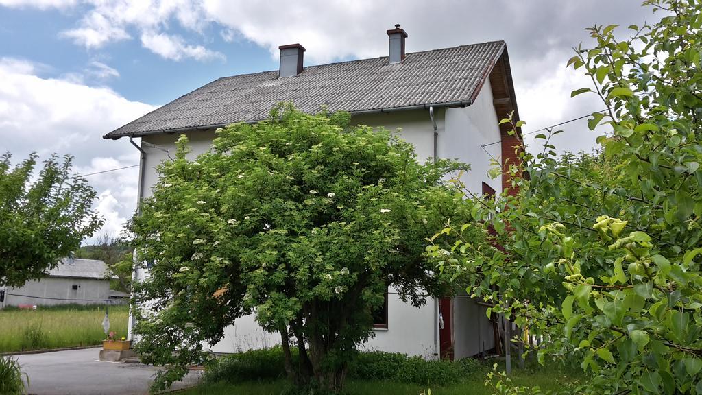 House Petkovic Hotel Korenica Eksteriør billede